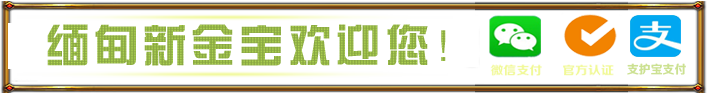 新金宝logo